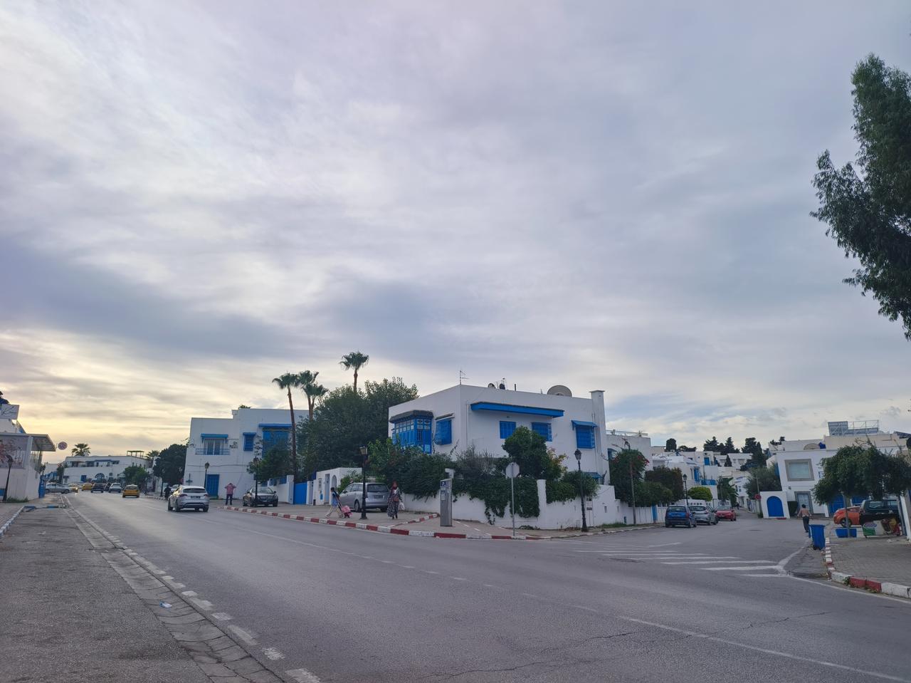 迦太基遗址旁边靠海的地方，就是突尼斯大名鼎鼎的“蓝白小镇”。

它的大名叫西迪布