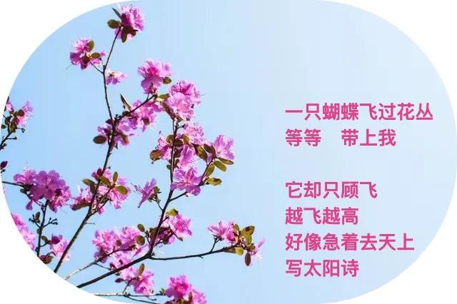 去白云山头
不光为了看云
．
站上自己高度
心辽阔
你看我一眼
我看你一眼
．

