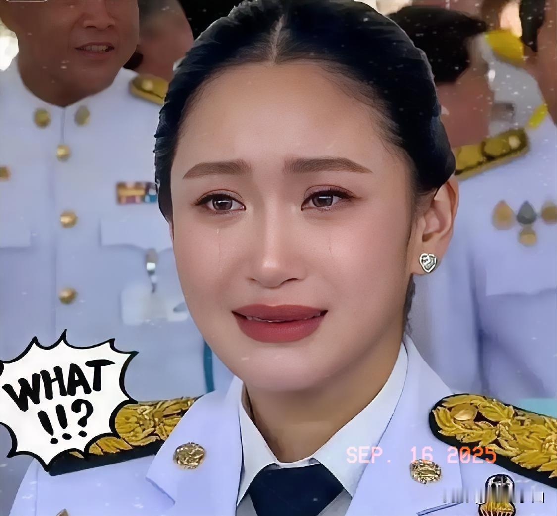 就在刚刚，

泰国突然宣布了！

9月15日下午，泰国工业联合会发声了！他们认为