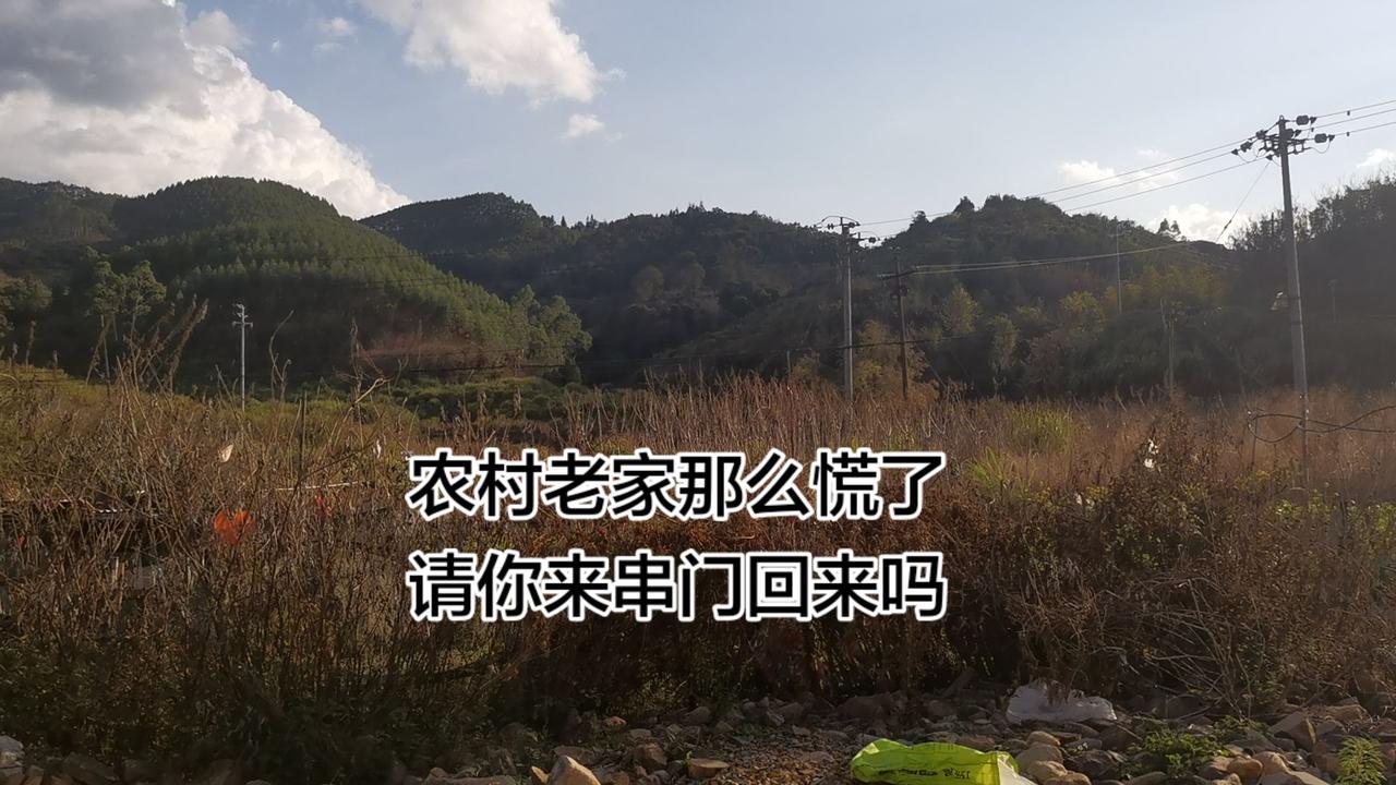 创作伙伴计划 创作者中心 创作灵感 串门子 农村风景