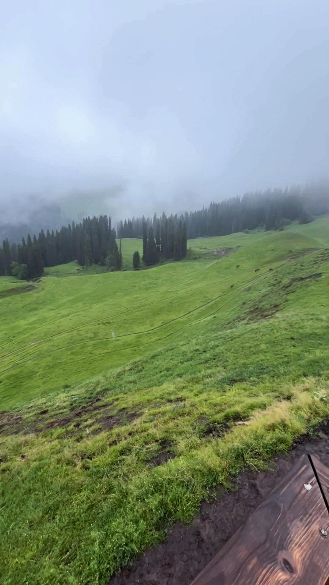 越是一辈子一事无成的父母，越是死要面子，要孩子给烂亲戚花钱买礼送礼，这...