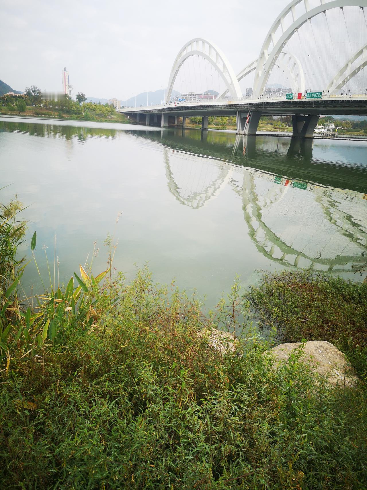 可以分享你拍的水天一色美照吗碧绿江水