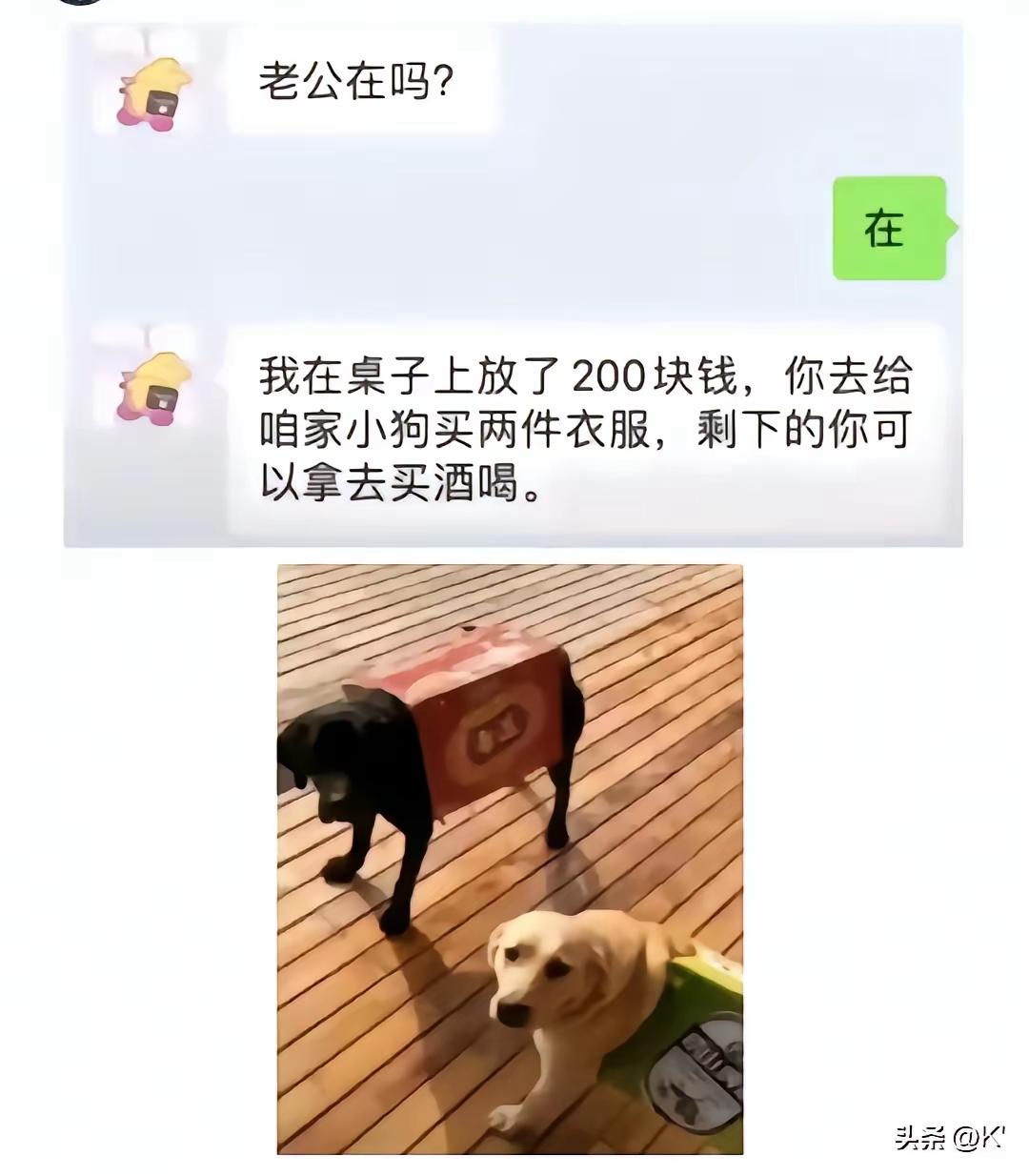 这媳妇真把钱花在刀刃上一毛都不浪费啊[捂脸]