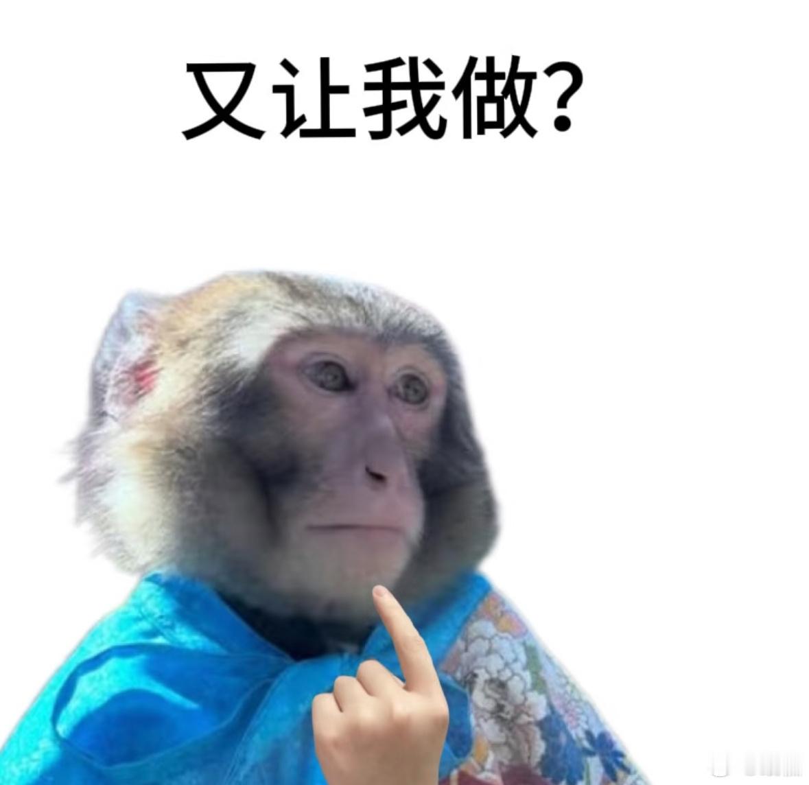 最尊重猴的剧组出现了 吗喽大闹众合搭建起古今对话，延续反抗精神的内核，用轻松欢乐