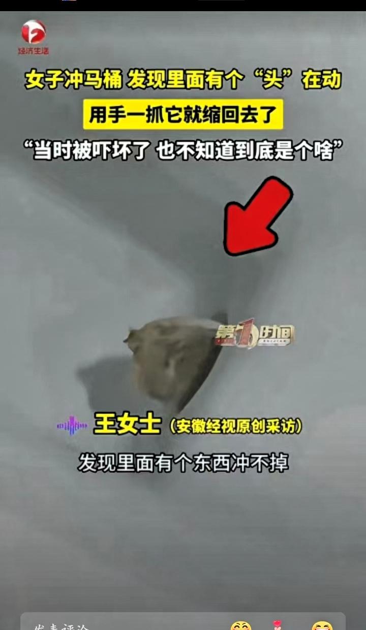 吓冷出‬汗！黑龙江伊春
一位女士在家冲马桶，发现水中有异物无法冲净，她误以为是普