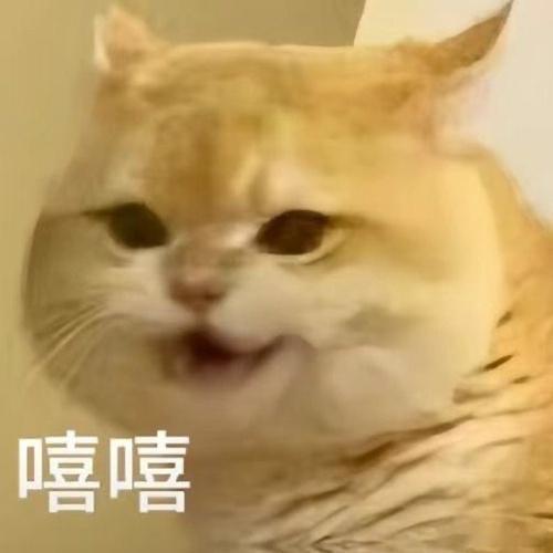 #今天追了什么剧# ​​​