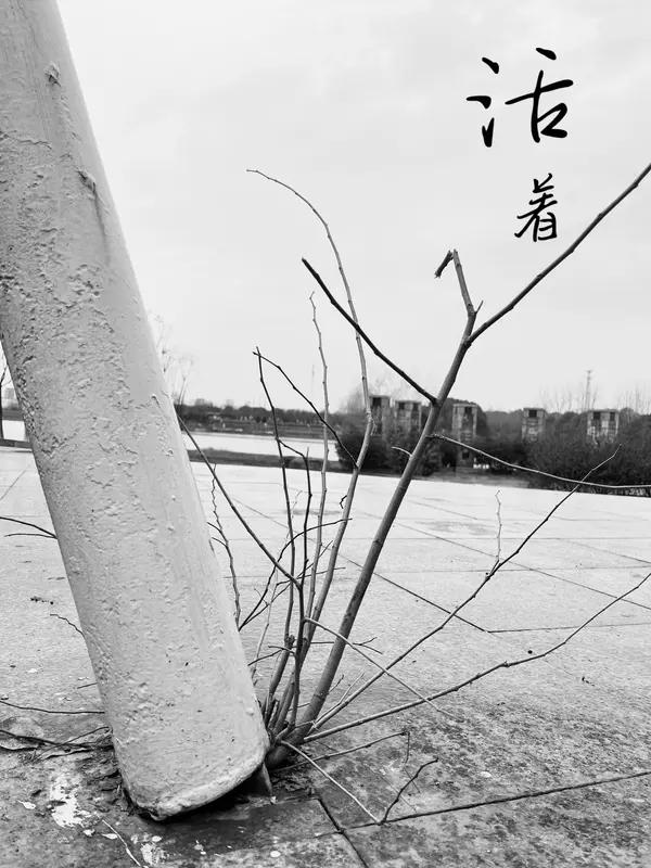 “人生本过客，得失皆随缘”，这话太有道理了。人生如逆旅，我们都是匆匆过客。现代人