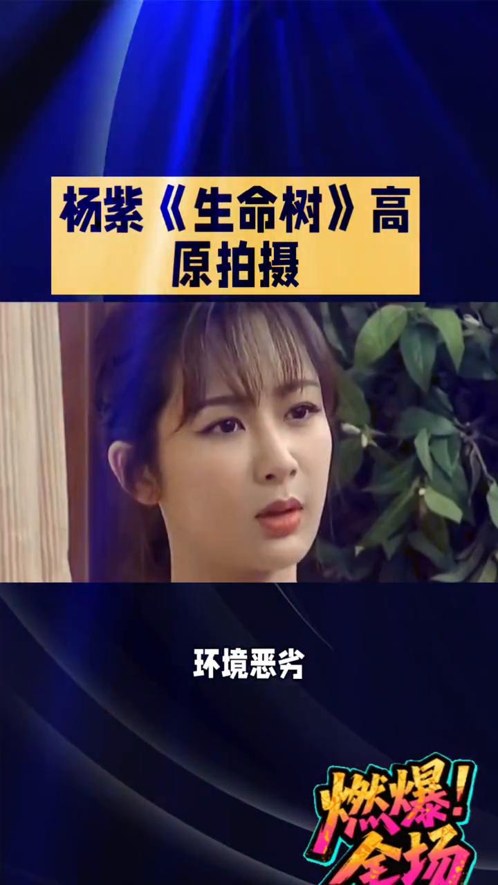 杨紫《生命树》高原拍摄燃爆！
杨紫《生命树》高原拍摄，缺氧摔伤仍坚持，这份敬业精