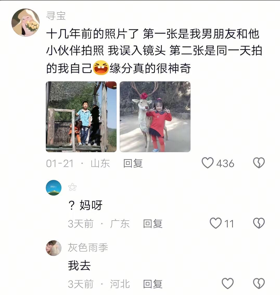 机关算尽不如命运轻描一笔 