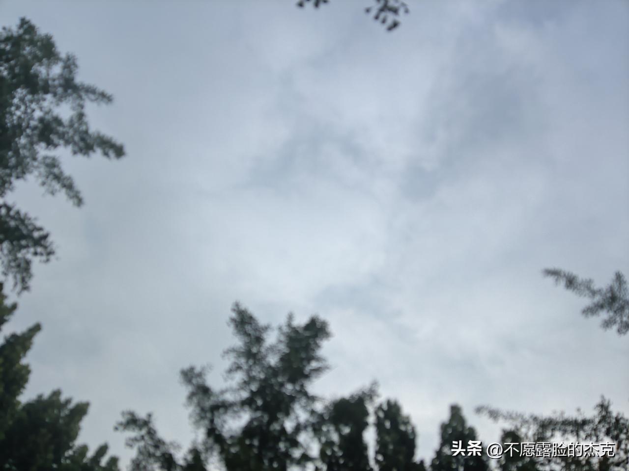 又是崭新的一天
一天好心情