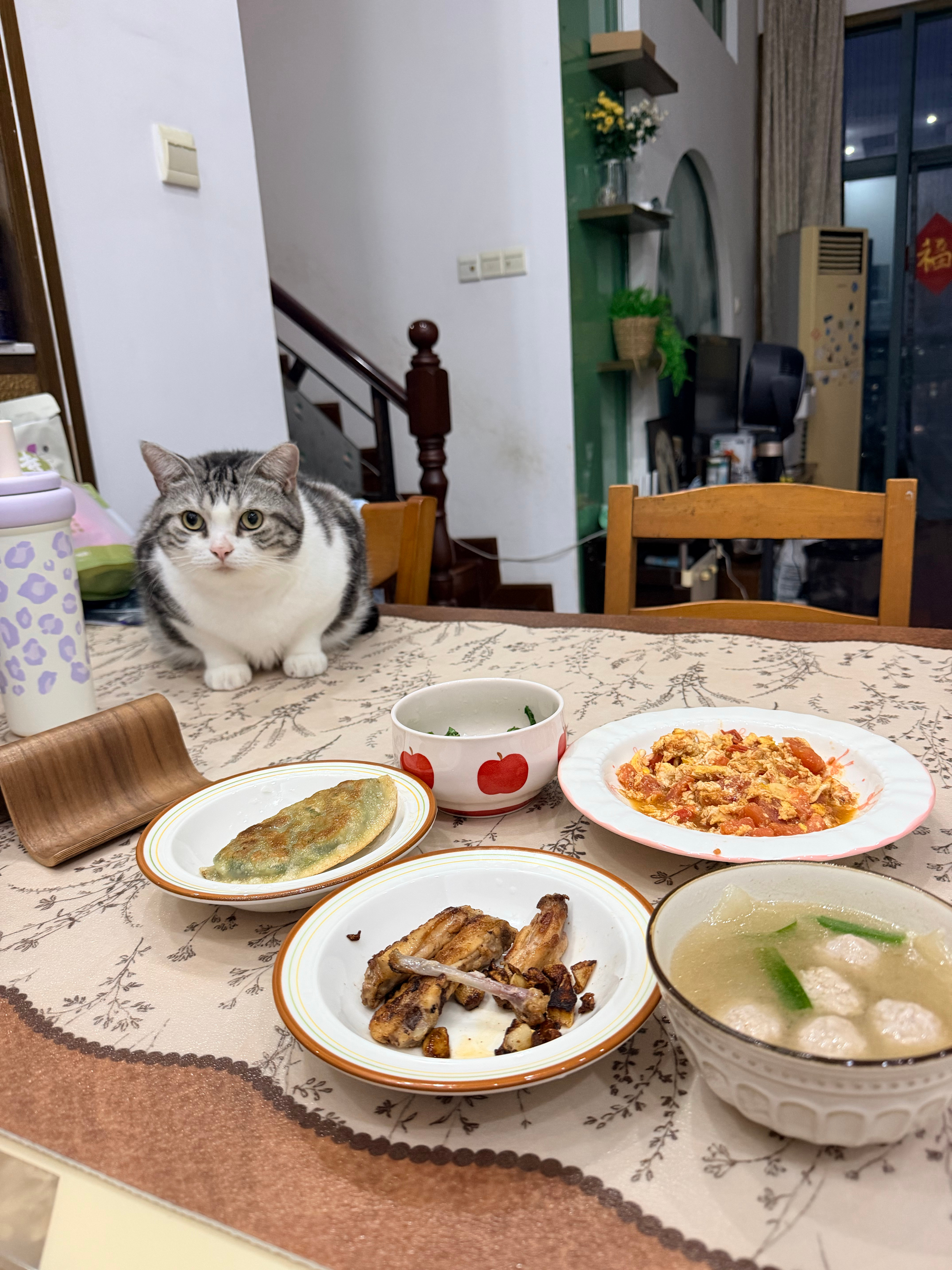 萌妹子 ​​​