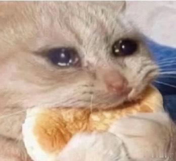 不过嘛，我觉得大部分糊人应该都私联过站姐，越糊越常见，这种事只有当红的大流量不敢