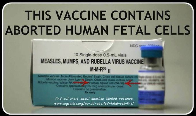 PER C6细胞系来源于一个因社会原因而被堕胎的18周大的健康婴儿。这种具有致瘤