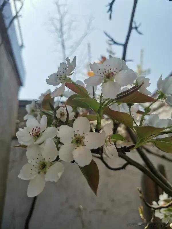 一句话安慰自己你已经很棒了，至少出社会后，没有再让爸妈出过一分钱，以后的时间请继