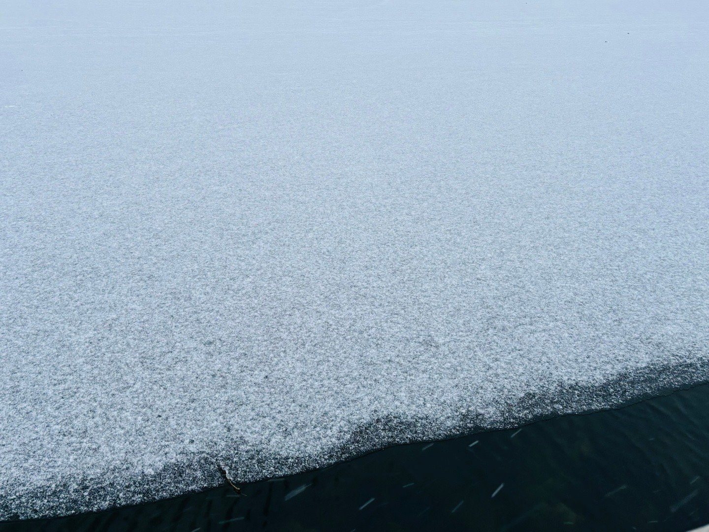 介雪下得，还挺大。天津下雪天津津门虎 真球迷们准备堆雪人吗？中超联赛 天津