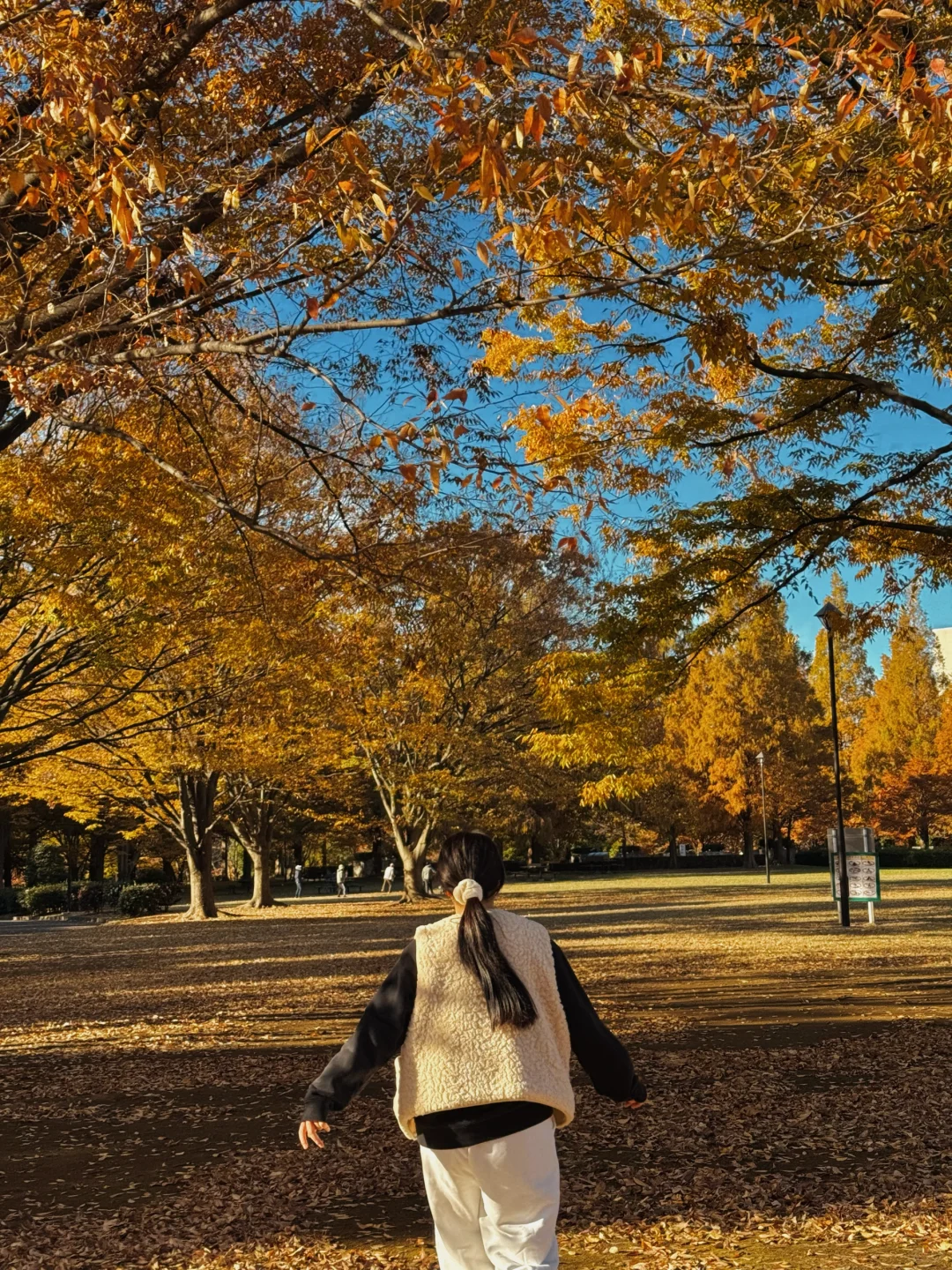 东京🇯🇵｜晨跑偶遇枫叶园🍁太美啦！