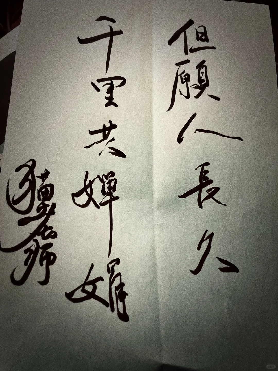 愿花长好 月长圆 人长久