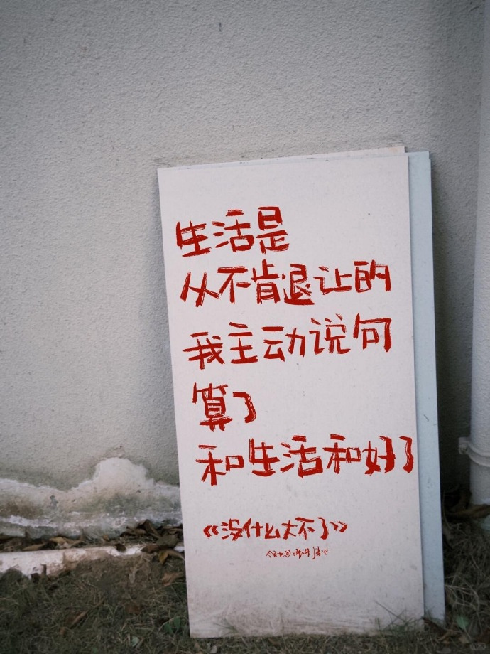 人类就是人累，长大后才明白原来上海就是商海，北京就是背景，事业就是视野，彩礼就是