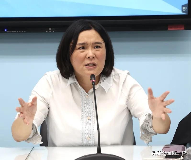 陈玉珍称“我本就不是台湾人” 遭绿营攻击

美国智库日前拜访国民党立委陈玉珍，了