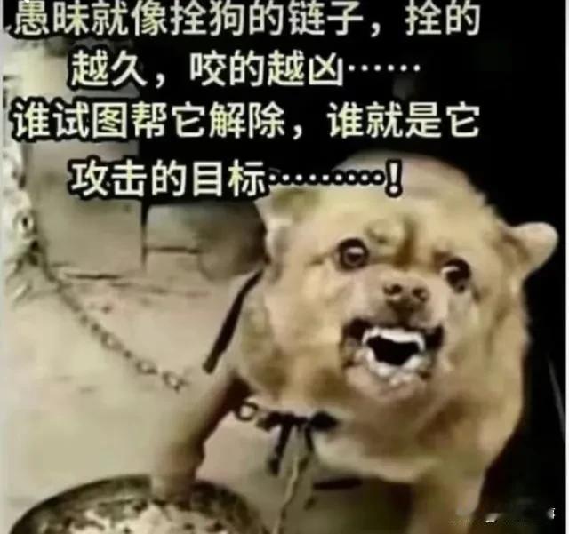 问题不在于治愈，而是要带着痛苦活下去！