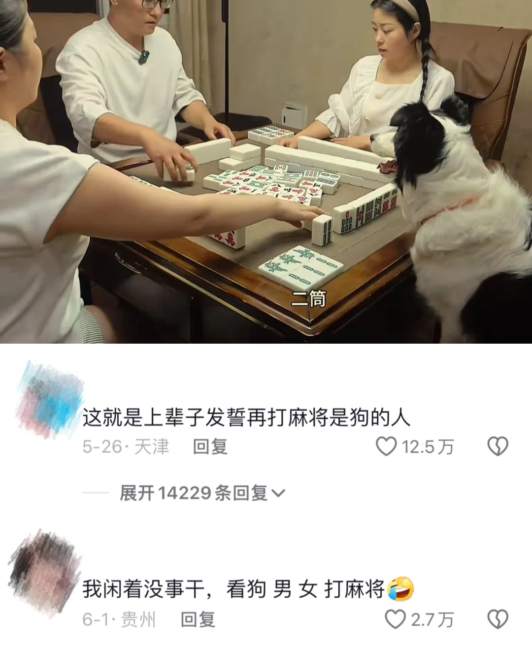 这就是上辈子发誓再打麻将是狗的人🤣