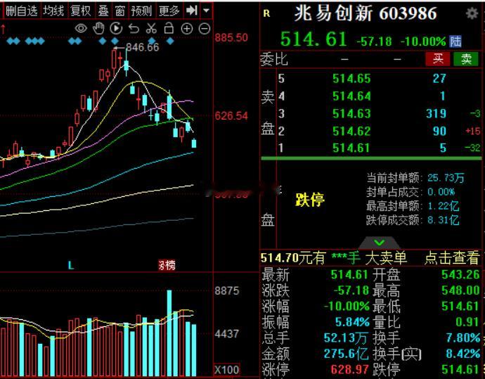 赵姨也不挣扎了，也喜提跌停板了a股