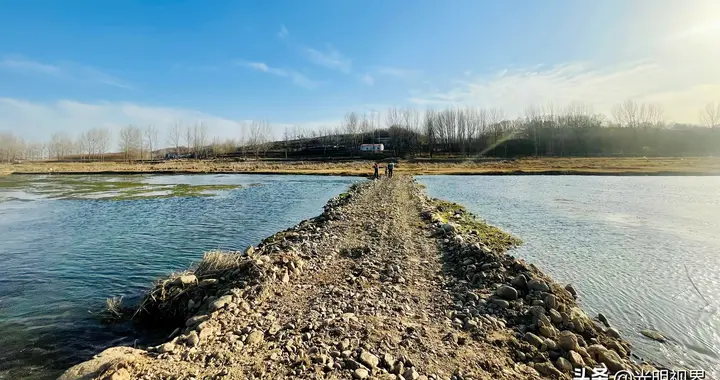 桥连两岸菇富乡邻 河南鲁山80后朱小子的乡村答卷