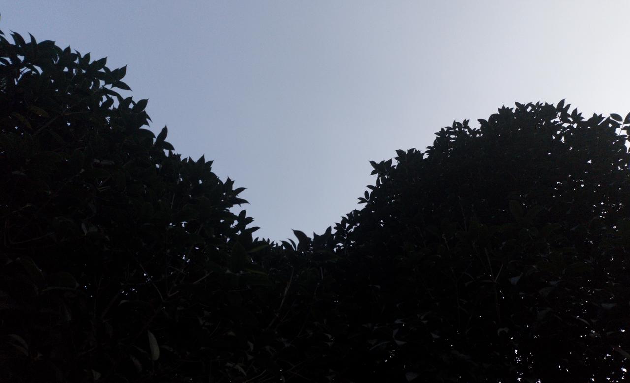 “天下皆知美之为美，斯恶已，皆知善之为善，斯不善已”。这句话出自《道德经》。
怎
