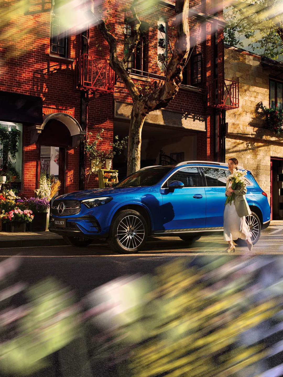 春天，这不就来了🌼