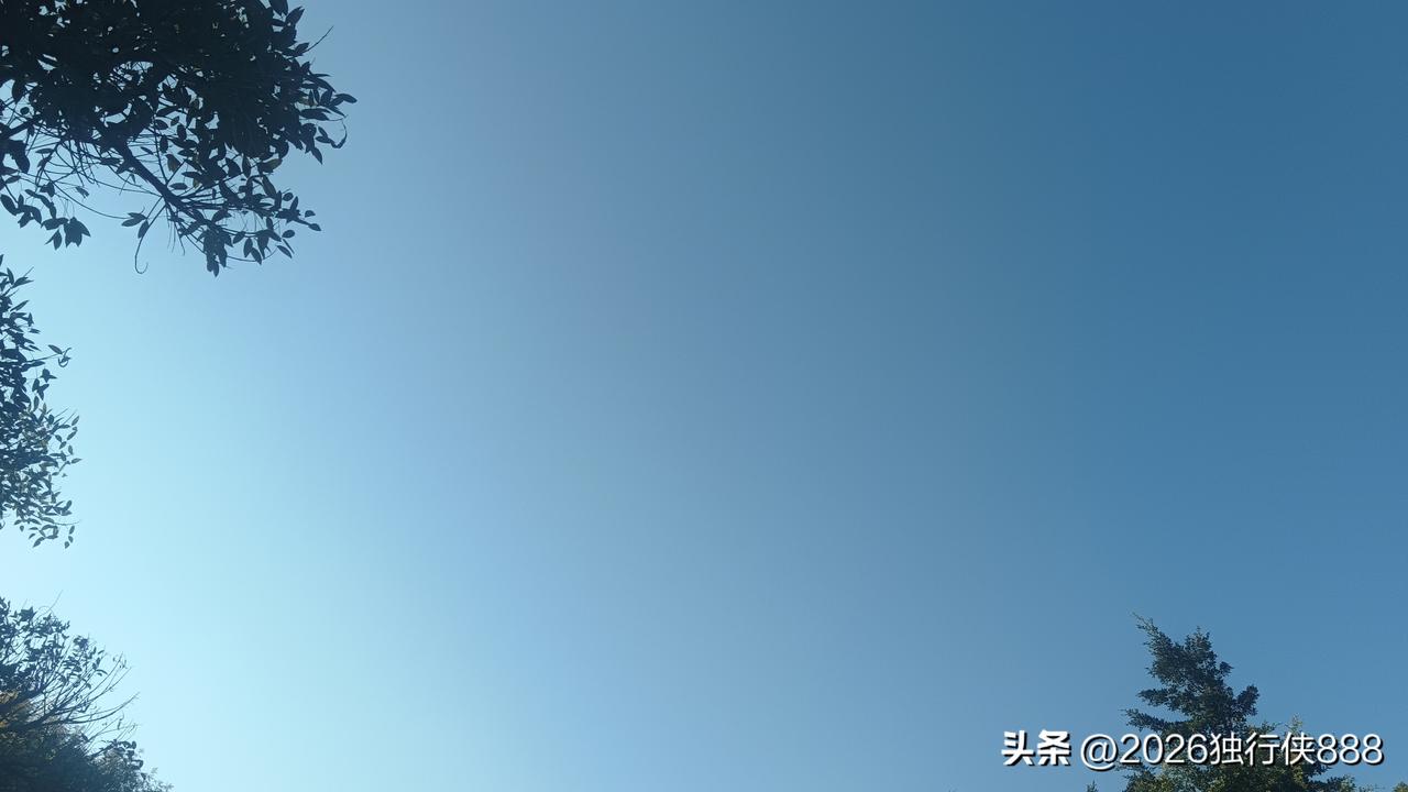 又是因为白蛋白，同事又被骂了，新规实施快10天了，这规定还没传到医院？

一对夫