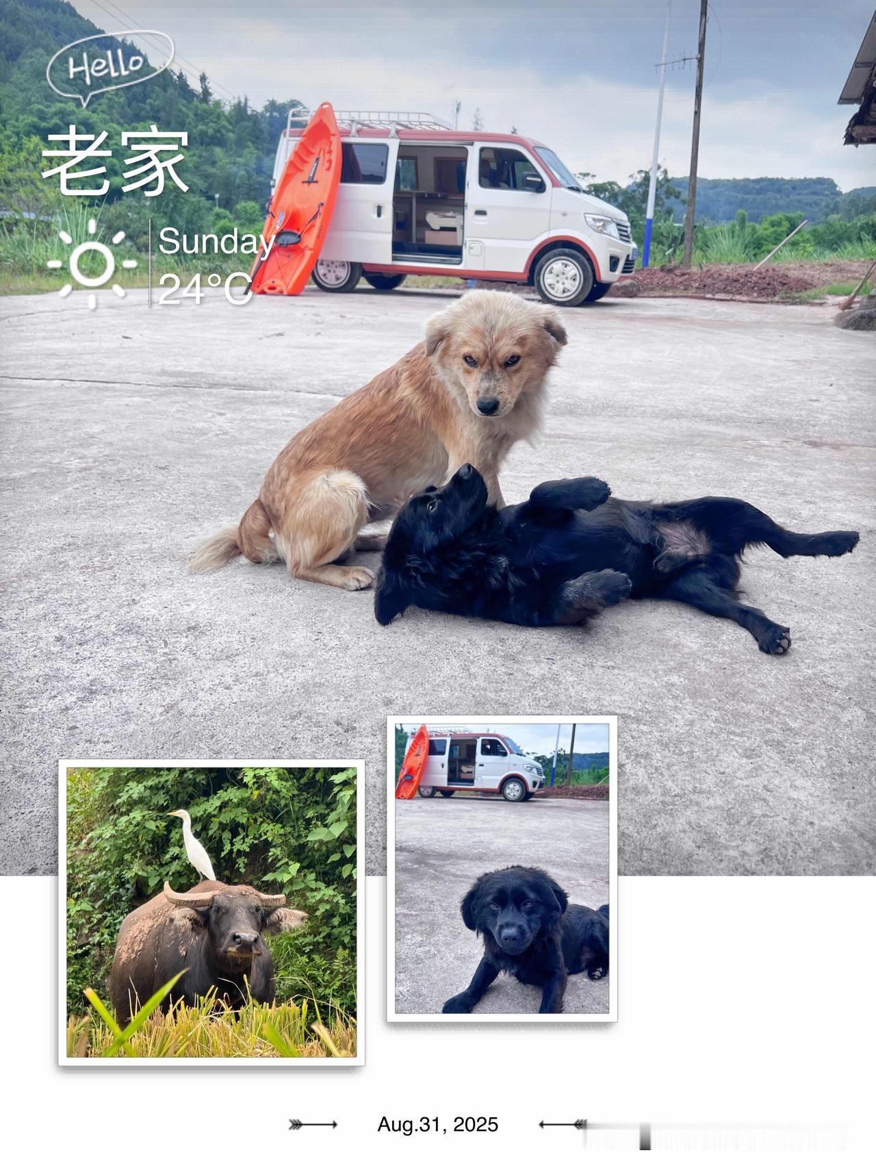 小微从海南回到四川很多天了，孩子终于上学了，也该启程了。这几天试着把面包车卖掉，