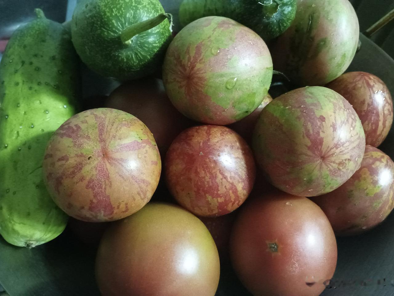 顺路买菜
下午三点多，又开始下楼溜达，顺便买菜。
往年来家附近卖菜的农村大姐，我