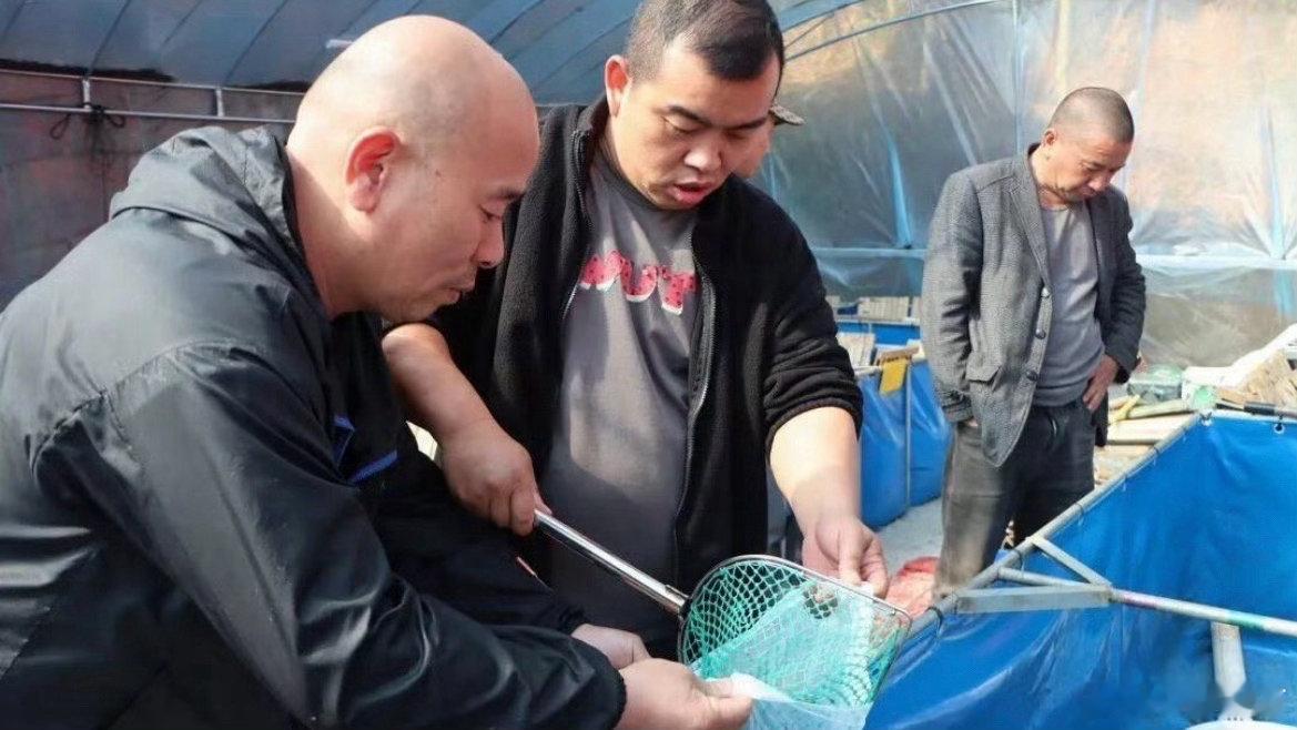 台州80后返乡养螺蛳月销2吨春日螺蛳藏商机，温岭80后小伙返乡钻研生态养殖，创新