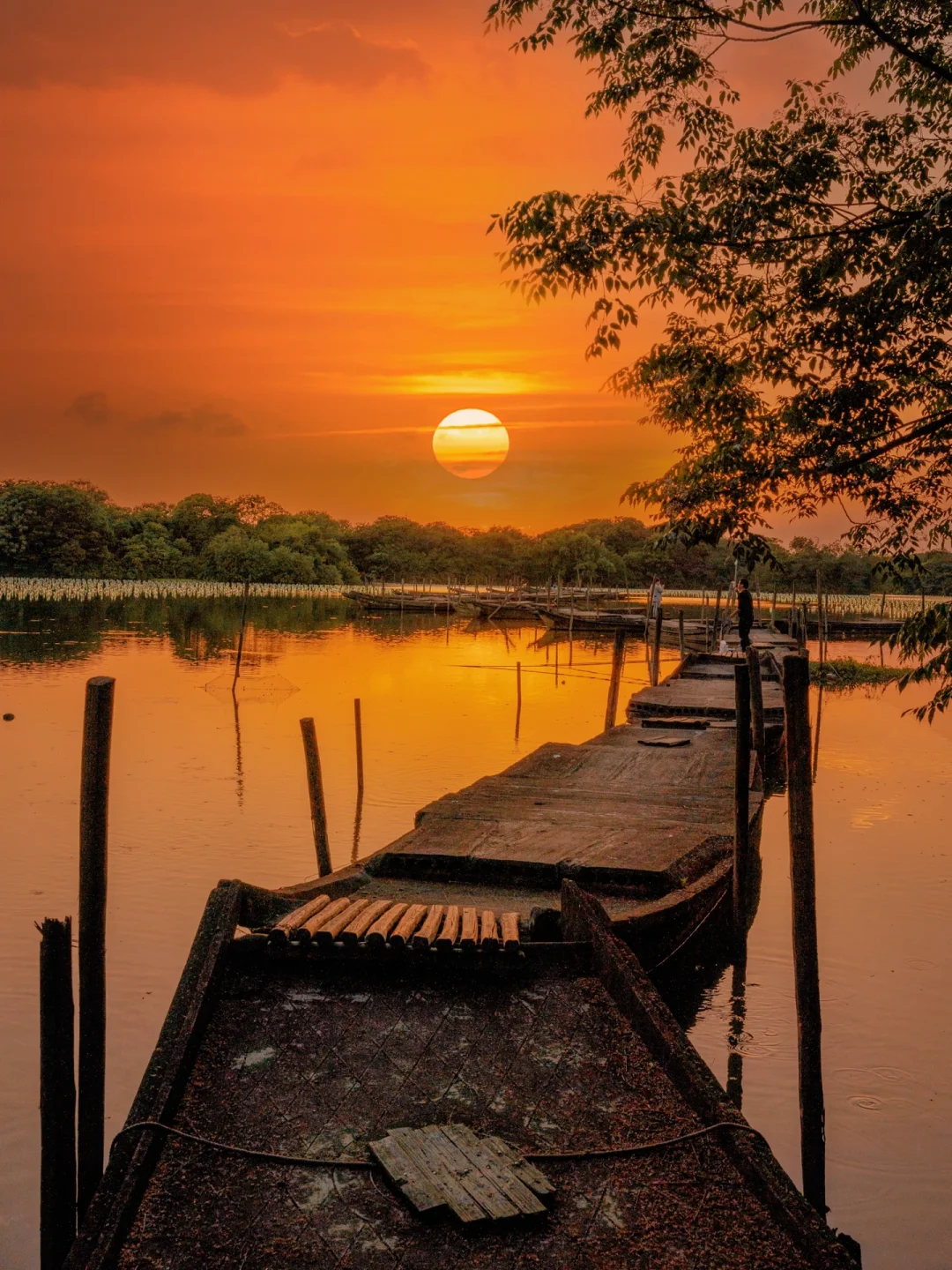 杭州1h❗️这里的日落比西湖更绝😭居然没啥人