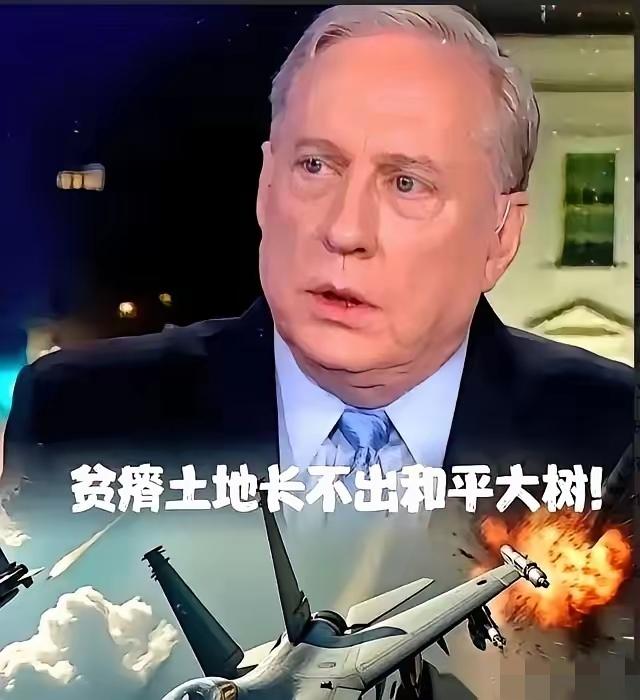 一个美国退役上校，一句话就把天聊死了。
他说，中国人根本不好战，满脑子就一件事：