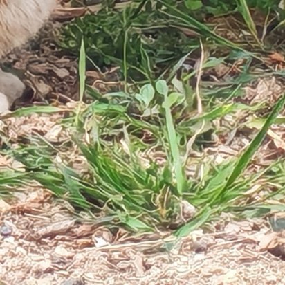 0000要确立一个远大的志向，树立和培育正确的理想信念，对自己的未来充满希望，要