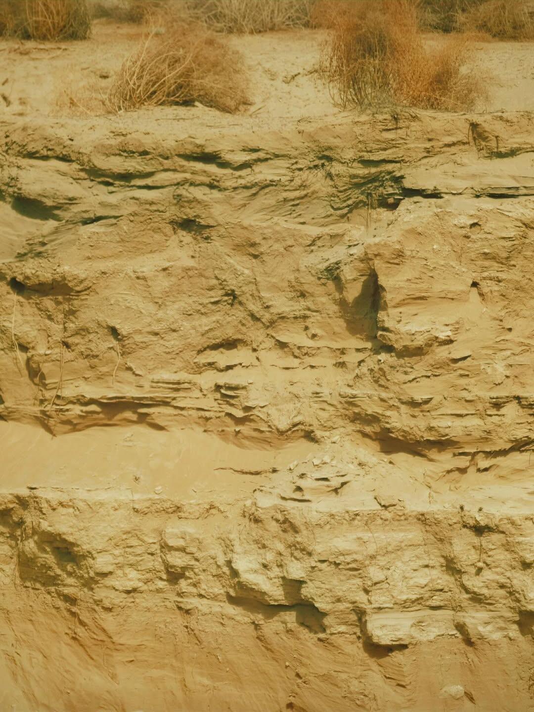 李导又发力了期待以后李导用他这超绝审美拍出的电影十个勤天  |  种地吧 