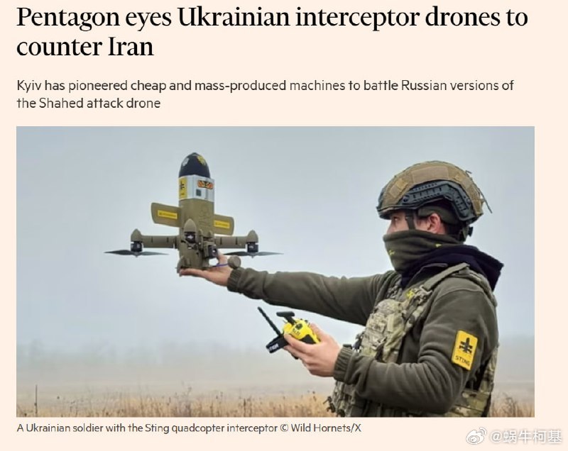 五角大楼和一些海湾国家正考虑购买低成本的乌克兰拦截无人机，以对抗伊朗无人机。来源