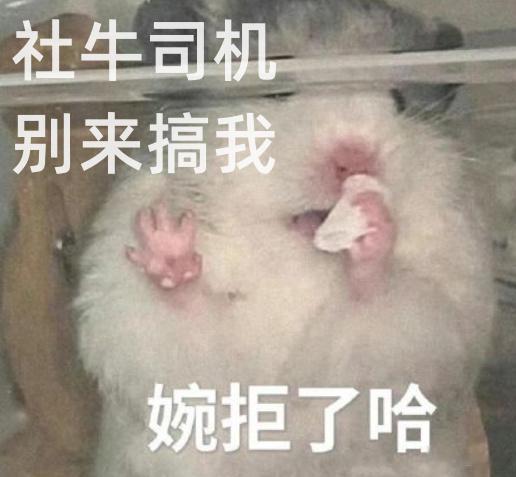 有一说一，真正的社恐在非必要时候宁愿走路骑共享而不是打车。社恐打车最怕的其实是遇