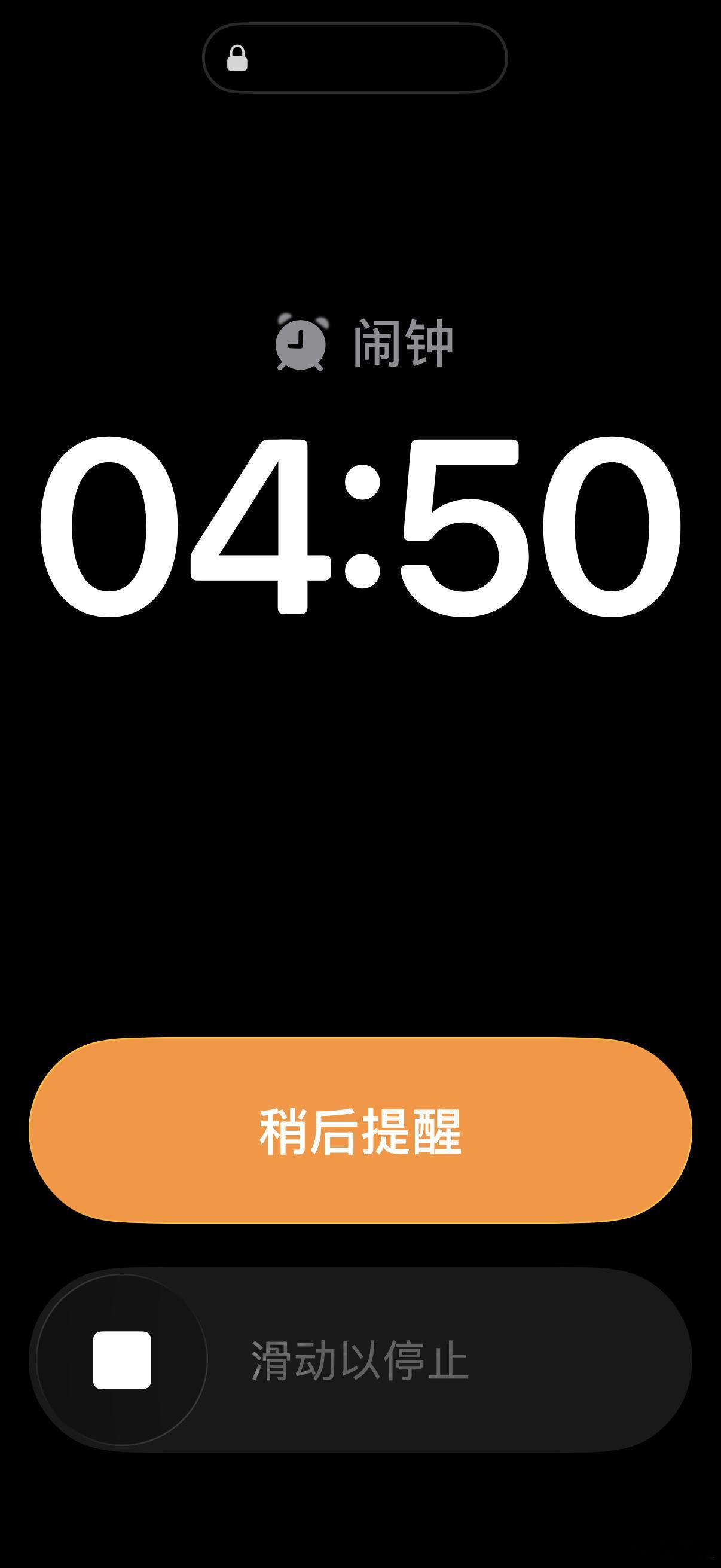 早安澳门，6点开工，够早不 澳门