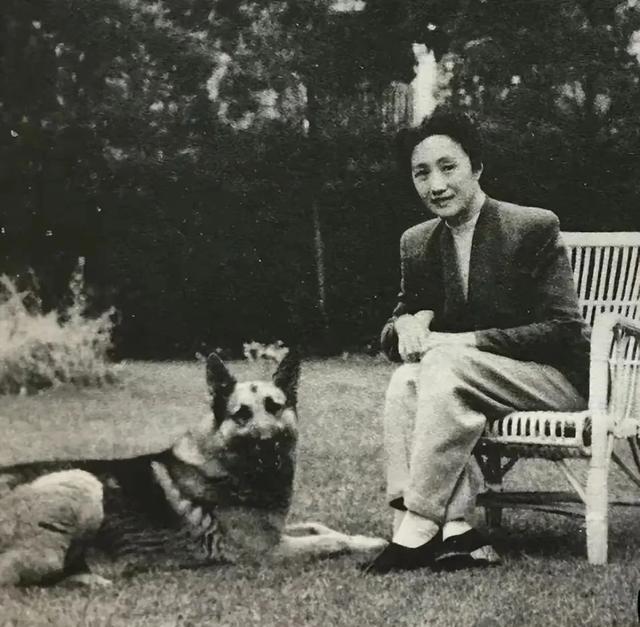 1925年，连生4女的董竹君，为圆丈夫儿子梦，冒死怀第5胎。她肚大肥圆，爱吃辣椒