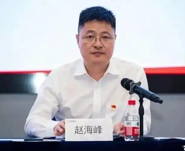 赵海峰，本科清华大学毕业，出生1980年，江苏启东高考理科状元，2002年清华本