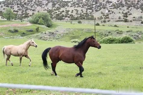 永远不要被自己的观点所绑架！很多所谓高手大佬犯得最大错误，刻舟求剑，为面子死扛，