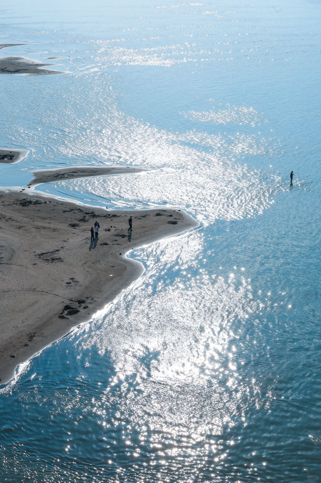 救命🆘我终于在武汉拍到了“满船清梦压星河”