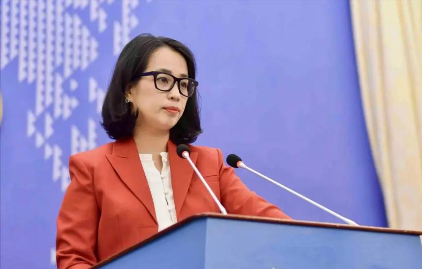 越南高层现在估计心里直发慌。

他怎么也想不到，7月12号美菲等14国刚把南海仲