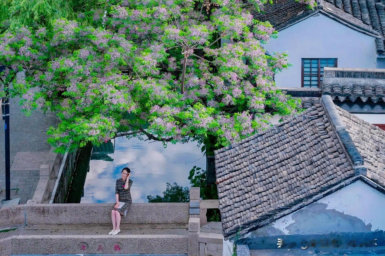 下联：一树紫云夏日长
上联：有请雅士[玫瑰][玫瑰][玫瑰]