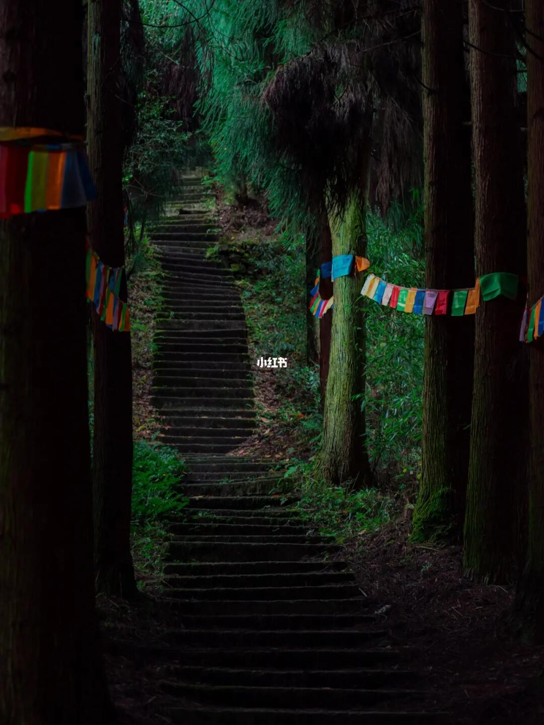 绝密的成都绿野仙踪，登山呼吸秋天的森林