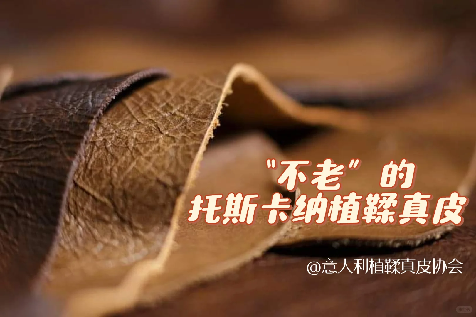 “不老”的托斯卡纳植鞣真皮