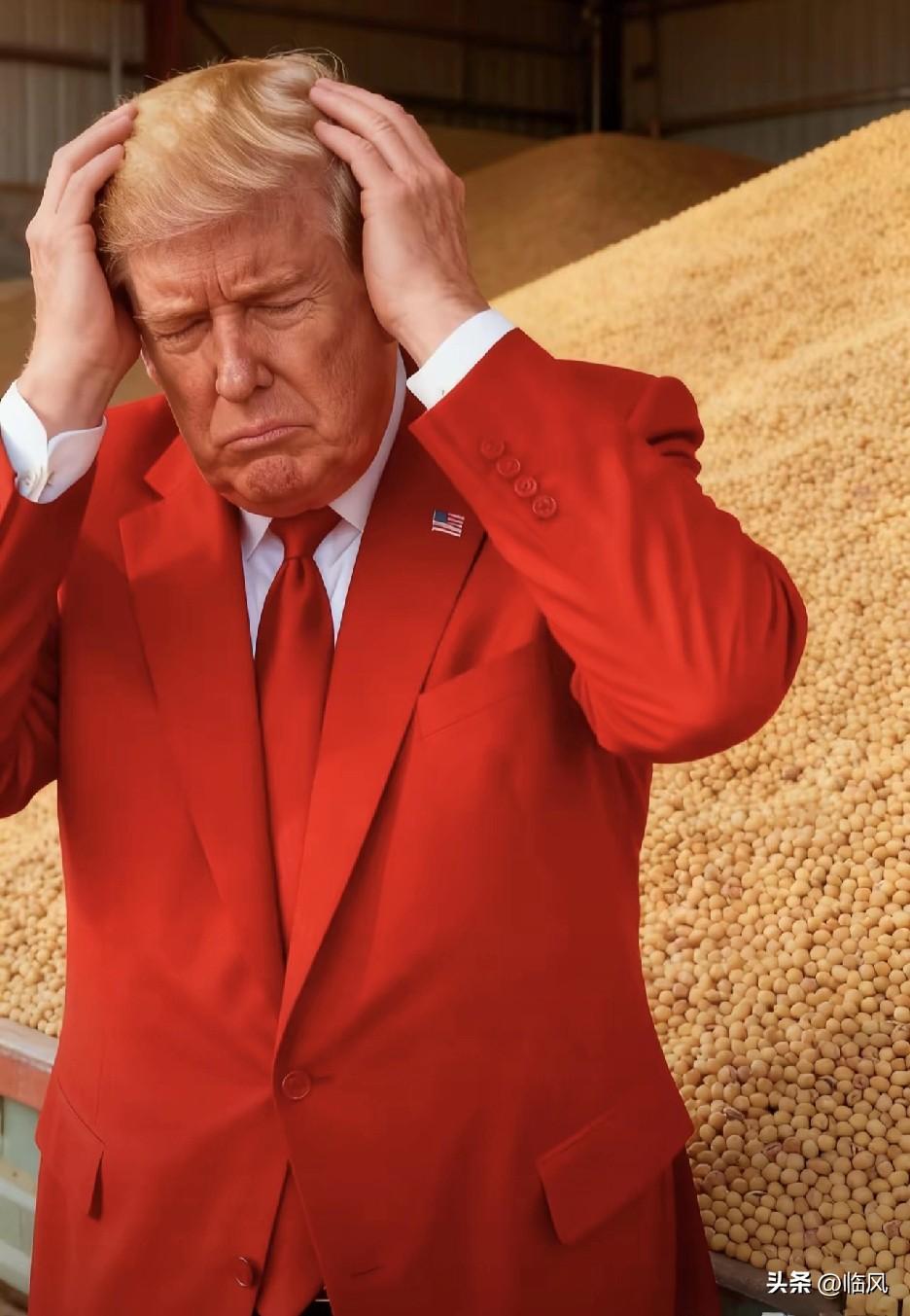 果不其然！
美国大豆遇“滑铁卢”！
​11月4日，美国农业部的最新数据一出来，不