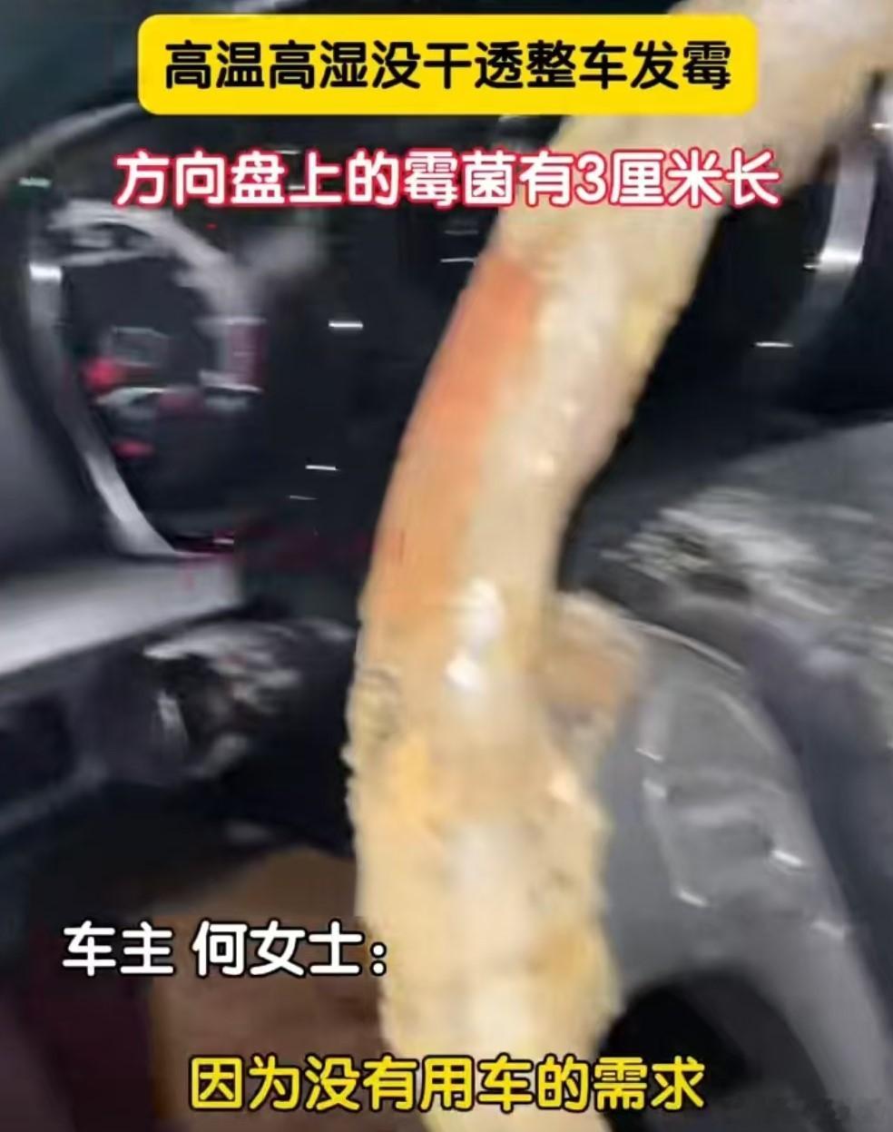 女子洗车9天方向盘长出3cm霉菌7月12日，重庆车主何女士称自己洗完车后，由于没